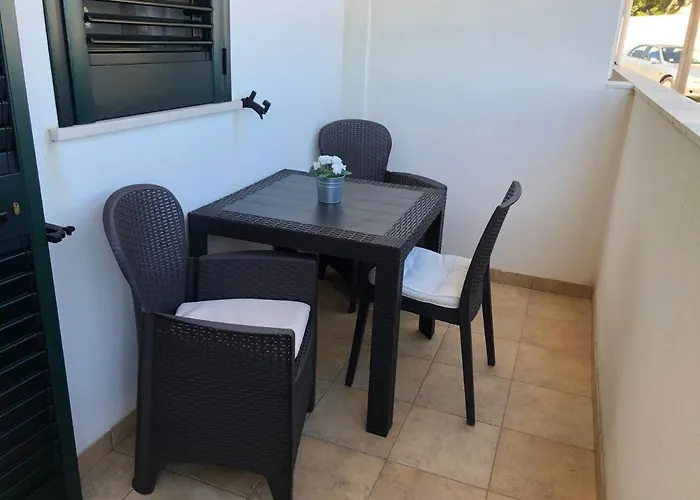 Maggi